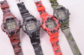 Reloj pulsera DQ2063 (8)1